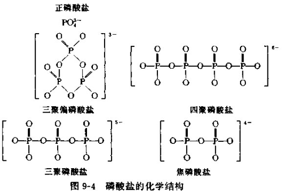 磷酸鹽的化學(xué)結(jié)構(gòu) 磷酸鹽的化學(xué)結(jié)構(gòu)