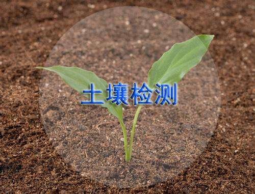 離子色譜儀可用于土壤中氟離子檢測